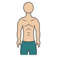 gespierde torso van een man. kleur vectorillustratie. atletisch lichaam van een jonge man. onbekende persoon. geïsoleerde achtergrond. cartoon-stijl. idee voor webdesign vector