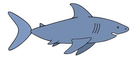 haai. kleur vectorillustratie. grote roofzuchtige zeevissen. een onderwatermonster met een brede kaak. geïsoleerde achtergrond. cartoon-stijl. gevaarlijke bewoner van de diepte. idee voor webdesign. vector