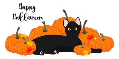 zwarte kat met pompoenen, happy halloween, vectorillustratie vector