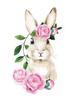 aquarel tekening. paashaas. schattig portret van een haas, konijn met roze roze bloemen, pioenroos op een witte achtergrond. decoratie voor Pasen, wenskaart. vector