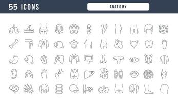 set van lineaire iconen van anatomie vector