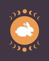 schattig wit konijn met astrologie-elementen. jaar van het konijn vector