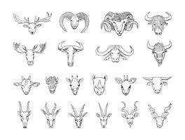 dierenkoppen met hoorns illustraties in kunstinktstijl vector