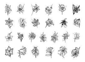 lelies in kunstinktstijl vector