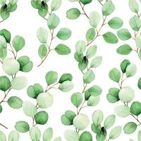 aquarel naadloze patroon met eucalyptus bladeren op een witte achtergrond. vintage tekening, groene bladeren van eucalyptus tropische plant. ontwerp voor bruiloften, behang, stoffen, kaarten, uitnodigingen. vector
