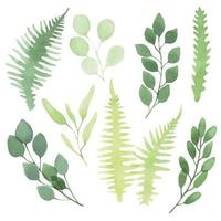aquarel set met eenvoudige groene bladeren. tropische abstracte bladeren van eucalyptus, varens geïsoleerd op een witte achtergrond vector