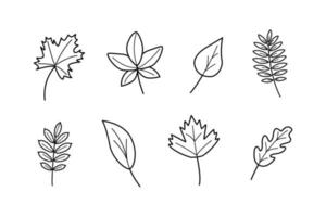 boombladeren, doodle set bladeren, esdoorn eik viburnum esp berken lijsterbes vector