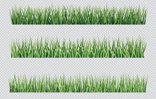 gras met transparante achtergrond vector