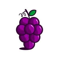 vectorillustratie van paarse druiven, schattig fruit vector