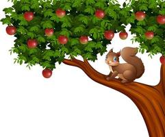 cartoon eekhoorn op appelboom vector