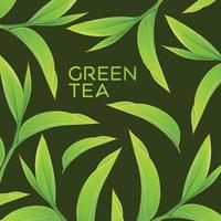 groene thee bladeren vector illustratie