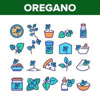 oregano kruiden plant collectie iconen set vector