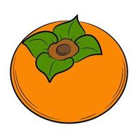 persimmon fruit in een lineaire stijl. kleurrijke decoratieve vectorelement, met de hand getekend. vector