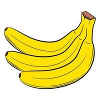 bananenfruit in een lineaire stijl. kleurrijke decoratieve vectorelement, met de hand getekend. vector