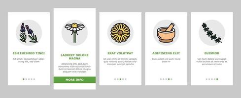 medische kruiden natuurlijke ingrediënt onboarding pictogrammen instellen vector