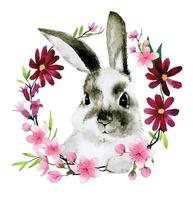 aquarel tekening. een krans van lentebloemen en een paashaas. roze kersenbloemen, sakura en schattig konijn. tekensymbool van de lente, pasen vector