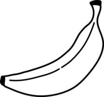 banaan pictogram op witte achtergrond. enkele banaan teken. lijn banaan. vector