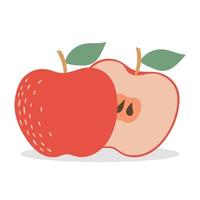 rijp rood appelfruit, en een halve appel. geïsoleerd op een witte achtergrond. vector