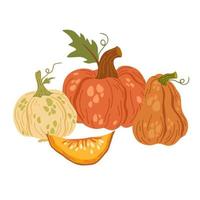 pompoenen. herfst compositie met pompoenen. verse groenten. oogsten. uitnodiging voor de dankzegging van het herfstseizoen. vector platte cartoon afbeelding geïsoleerd op de witte achtergrond.