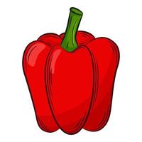 paprika peper. een groente in een lineaire stijl, met de hand getekend. voedselingrediënt, ontwerp element.color vectorillustratie met overzicht. geïsoleerd op een witte achtergrond vector