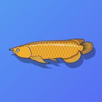 gouden arowana vis vectorillustratie vector