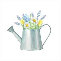 lenteboeket met bloemen in een blauwe gieter. de aquarel illustratie, geïsoleerd vector