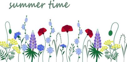 wilde bloemen. zomer. klaprozen, witlof, lupine, korenbloemen. vector illustratie