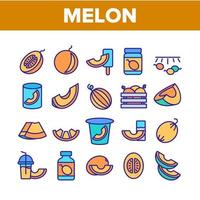 meloen biologisch fruit collectie iconen set vector