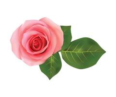 abstracte vector geïsoleerde roze roos met groen blad op witte achtergrond