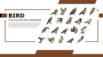 vogel vliegend dier met veer landing header vector