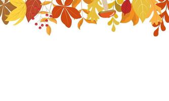 herfstbosbladeren, paddenstoelen en rode lijsterbessen. horizontale naadloze bovenrand frame. Thanksgiving Day, oogst vakantie ontwerp. geïsoleerd op een witte achtergrond. vector
