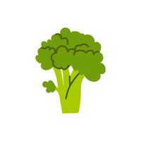 cartoon broccoli geïsoleerd. vector voorraad illustratie van broccoli. verscheidenheid van tuinkool op een witte achtergrond.