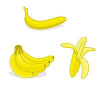 banaan vectorillustratie. zomerfruit teken en symbool. vector