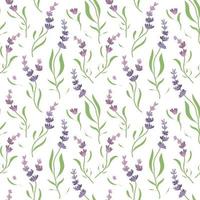 patroon bloemen heks bloemen van lavendel vector