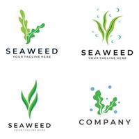 zeewier logo met sjabloon illustratie vector ontwerp.