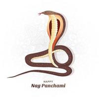 hindoe festival happy zeur panchami viering achtergrond vector