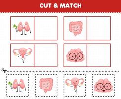 educatief spel voor kinderen snijd en match dezelfde foto van schattige cartoon menselijke anatomie en orgel schildklier darm baarmoeder hersenen vector