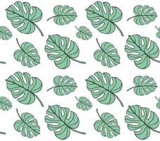 vector naadloos patroon van mint monstera leaf