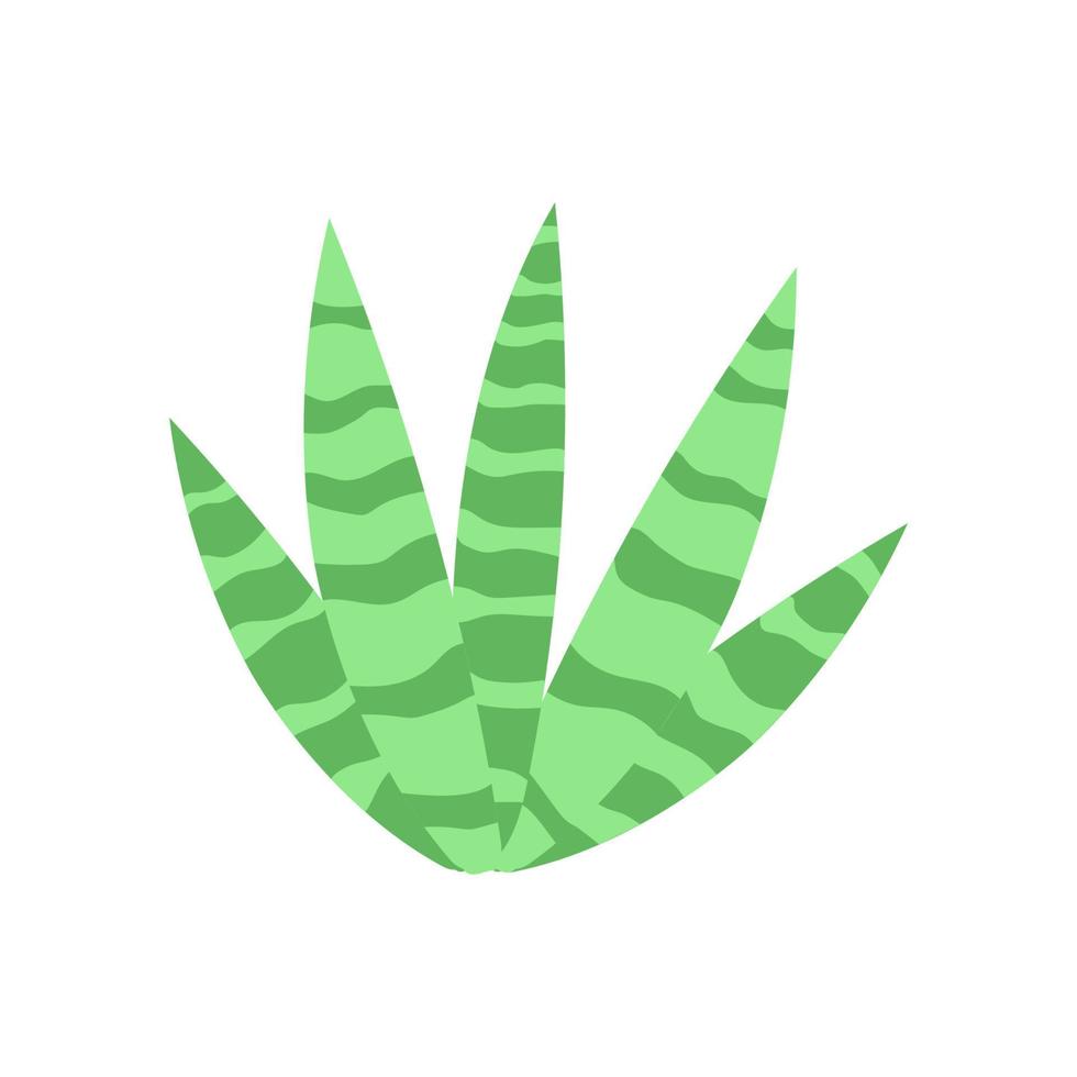 großer Kaktus. Vektor-Illustration. mexikanischer Kaktus Wüstenpflanze vektor