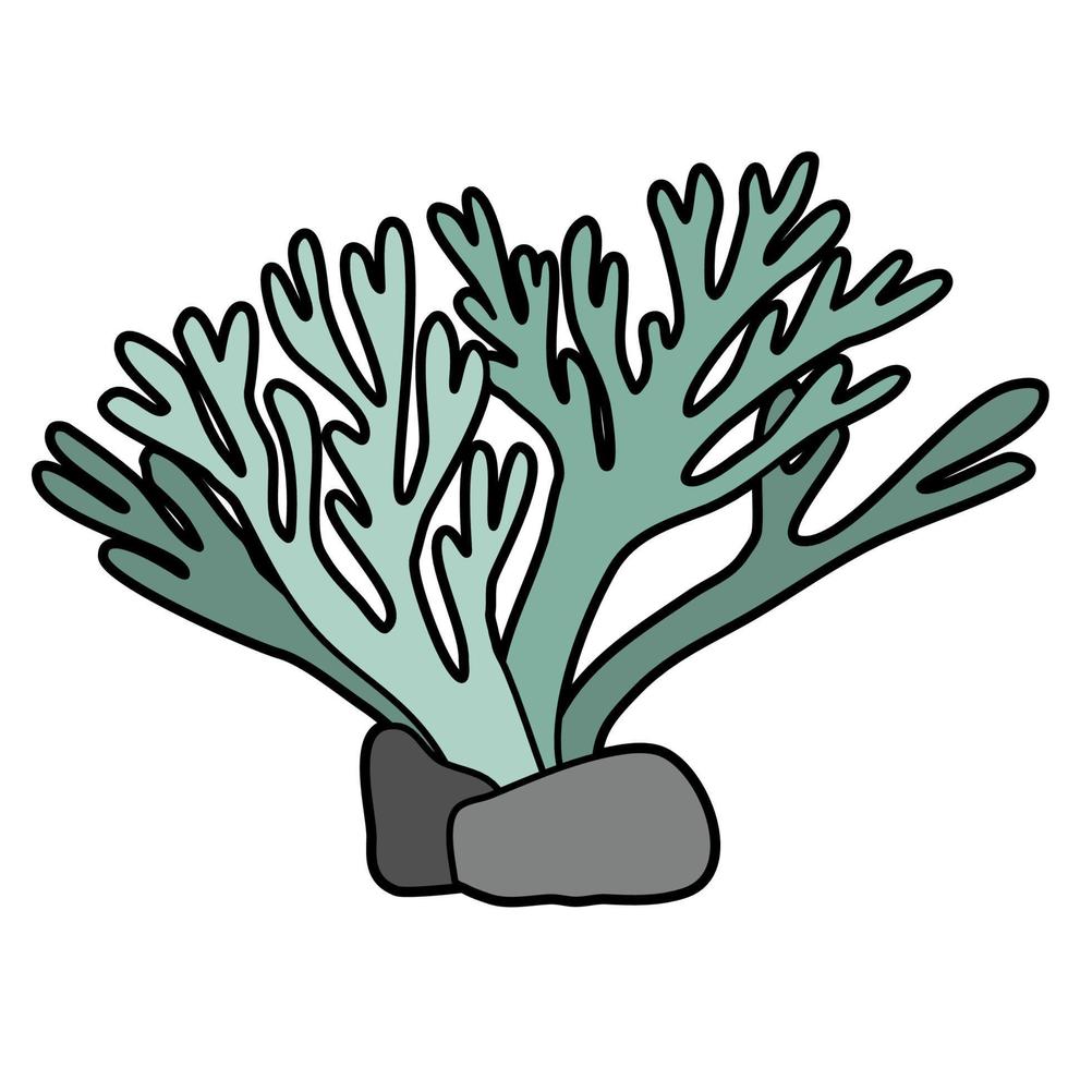 under havets växter vektor
