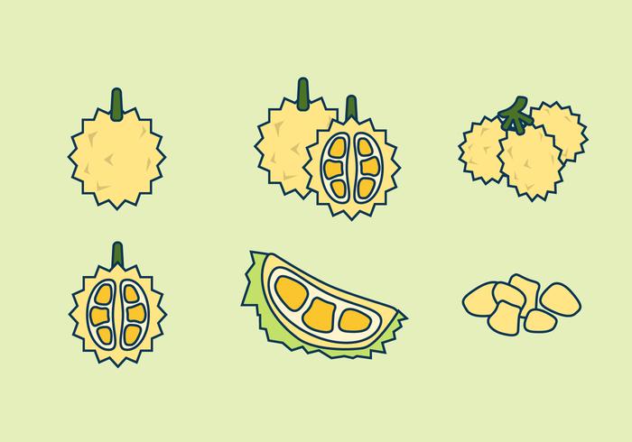 GRATIS DURIAN VECTOR