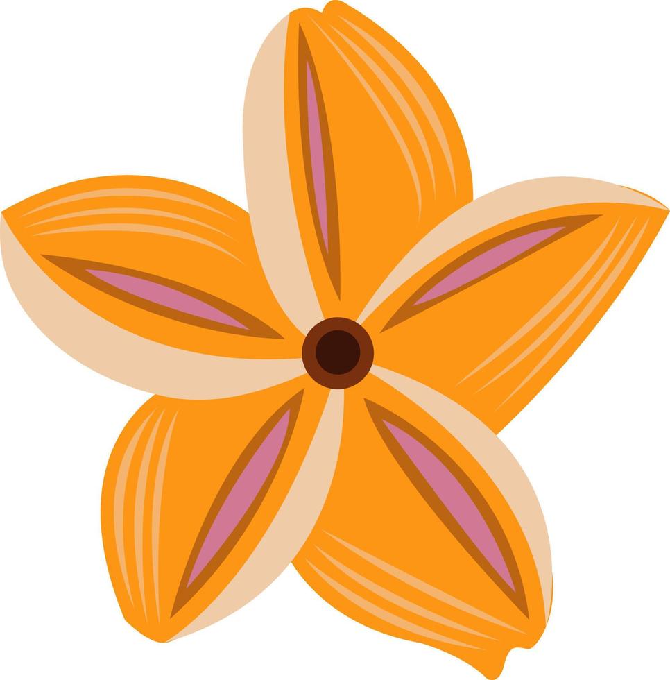 Frangipani-Blumenvektorillustration für Grafikdesign und dekoratives Element vektor