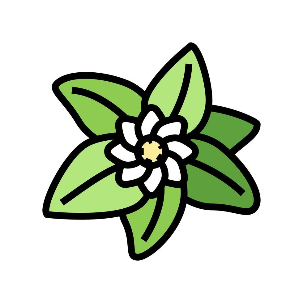 Blume Blatt Farbe Symbol Vektor Illustration