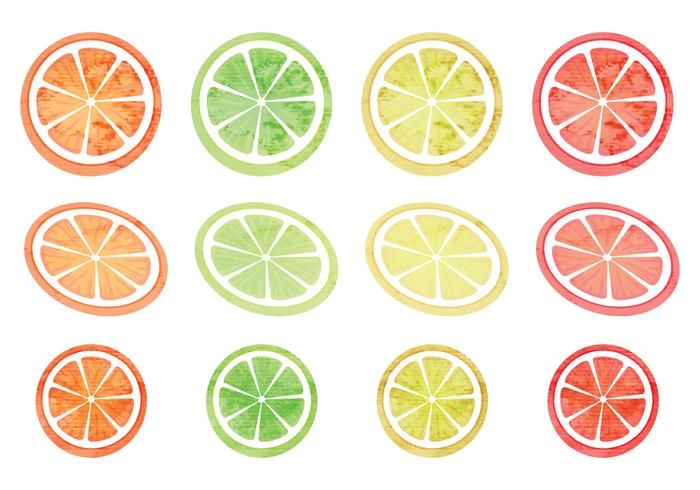 Vektor uppsättning citrusfrukter