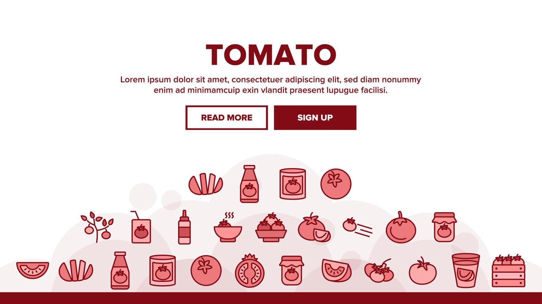 Tomaten vegetarisches Essen Landung Header Vektor