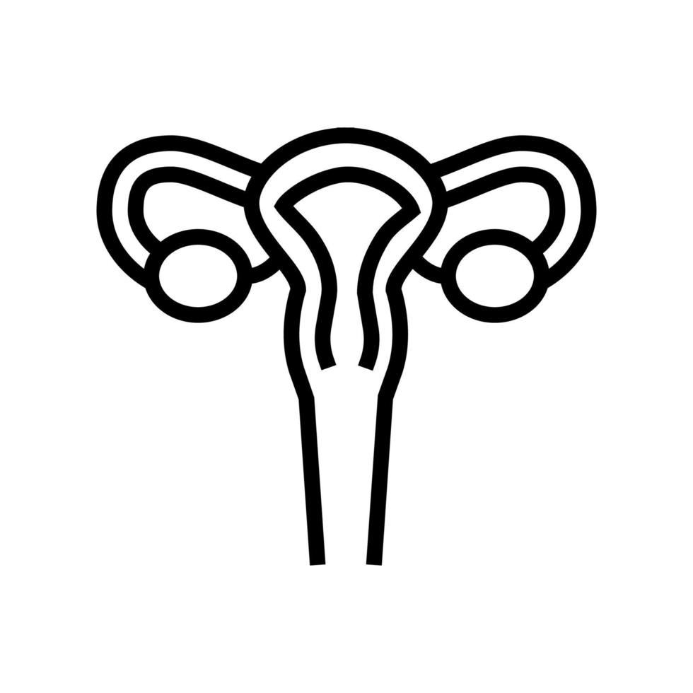 livmodern kvinna organ linje ikon vektorillustration vektor