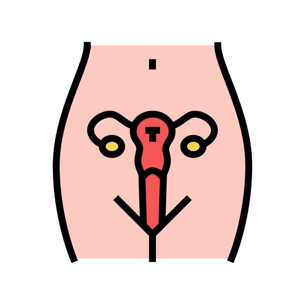 Uterus weibliches Organ Farbe Symbol Vektor Illustration