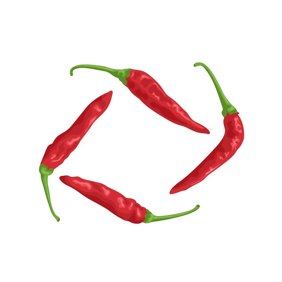 Vektor-Illustration einer roten Chilischote, isoliert auf weißem Hintergrund. vektor