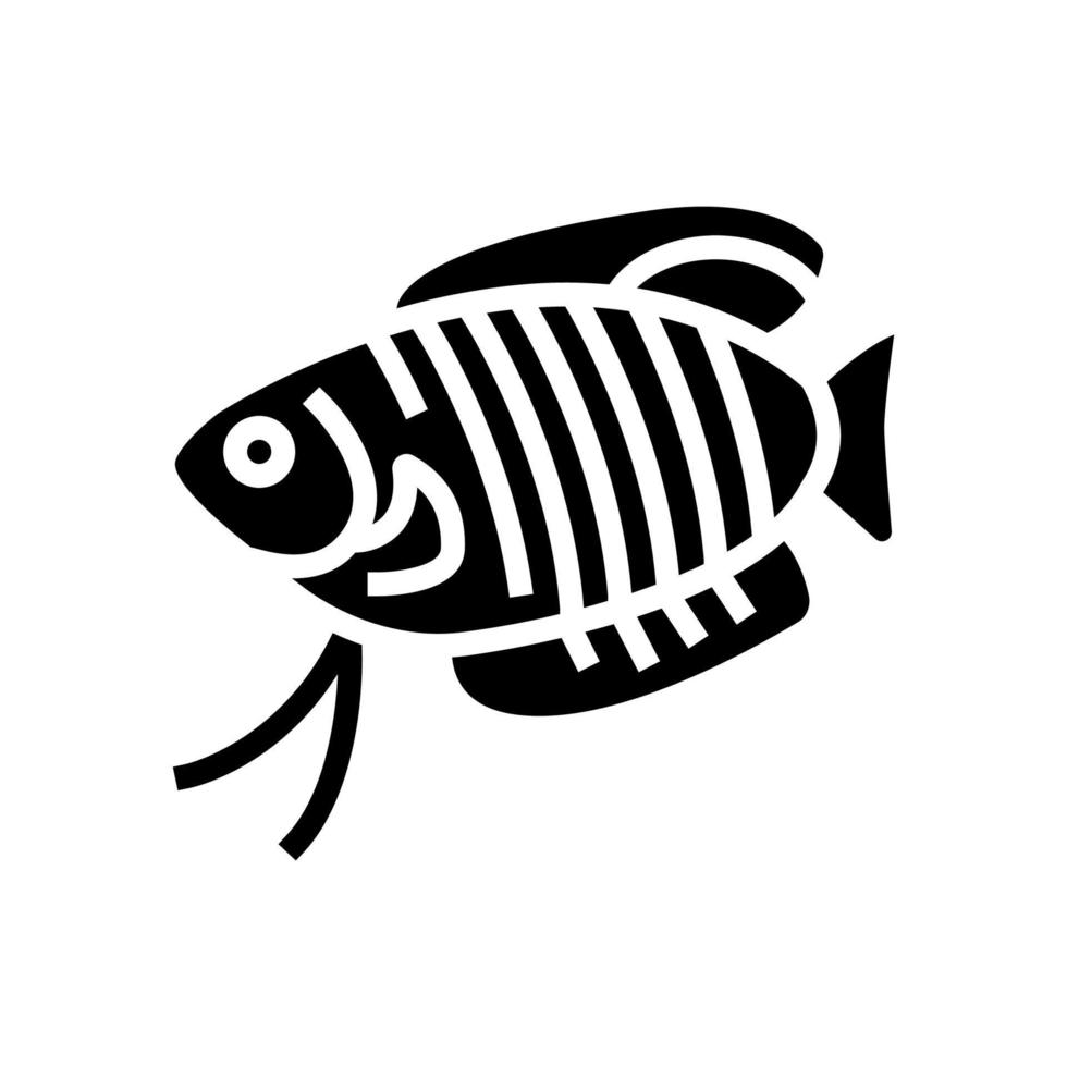 Gourami-Fisch-Glyphe-Symbol-Vektor-Illustration vektor