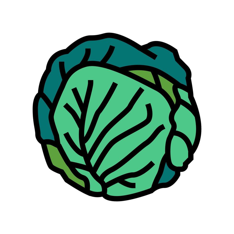 grön kål färg ikon vektor illustration